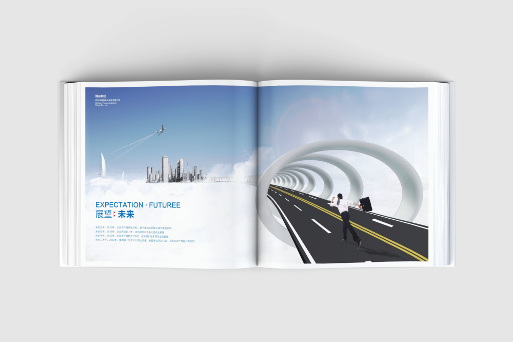 河池画册设计